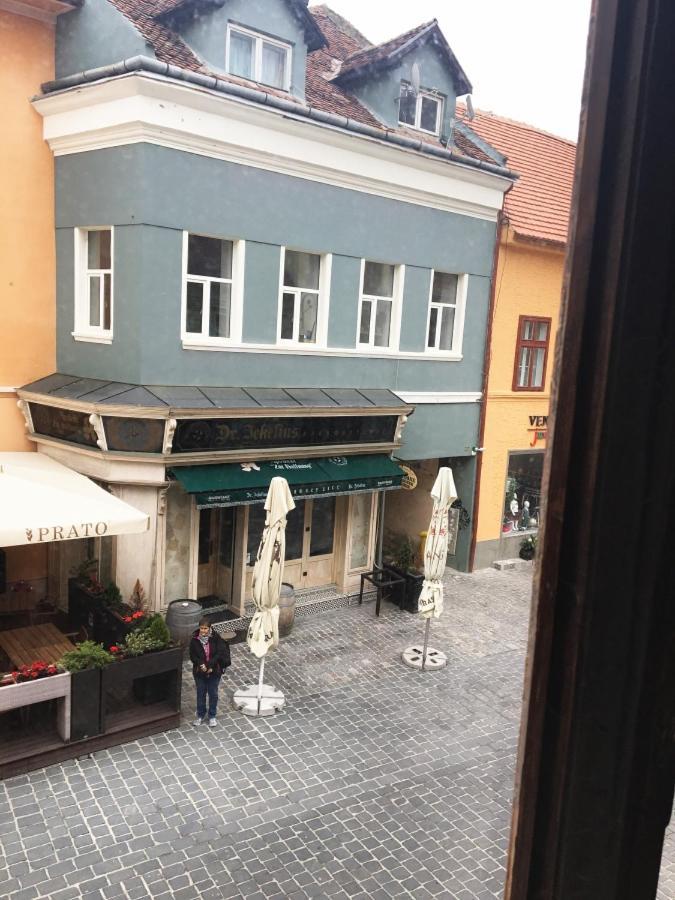Aristocrat Vintage Apartment Braşov Buitenkant foto
