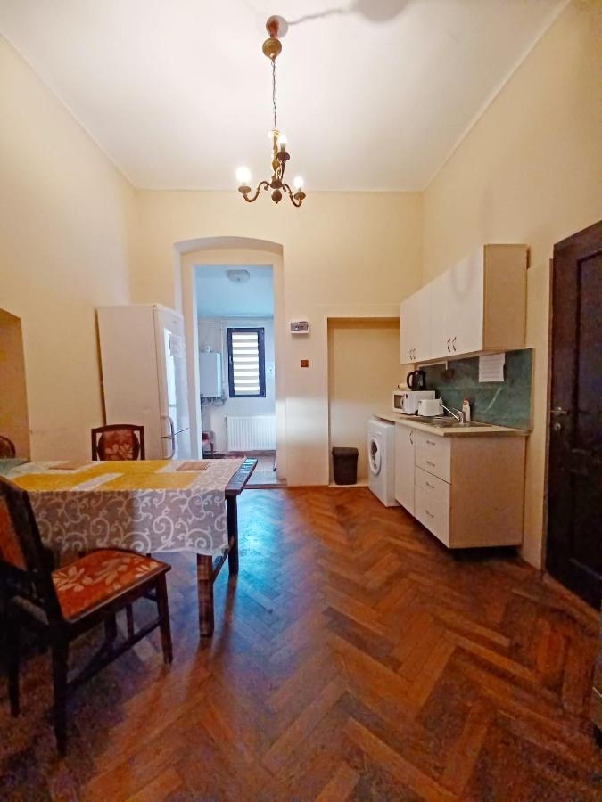 Aristocrat Vintage Apartment Braşov Buitenkant foto